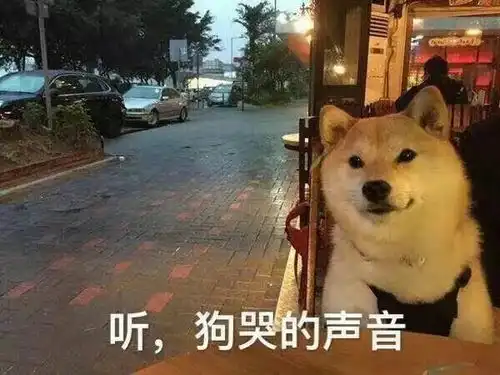 这是一条可爱搞怪的表情包合集