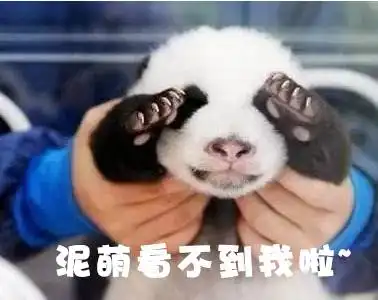 歪,妖妖灵么这里有人聚众吸猫