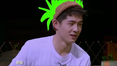 明星大侦探一季爆笑名场面