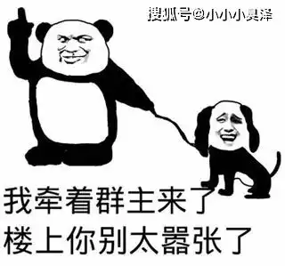 爆笑故事两头猪崽子比试功夫,一头猪叫爸爸,另一头猪叫爷爷