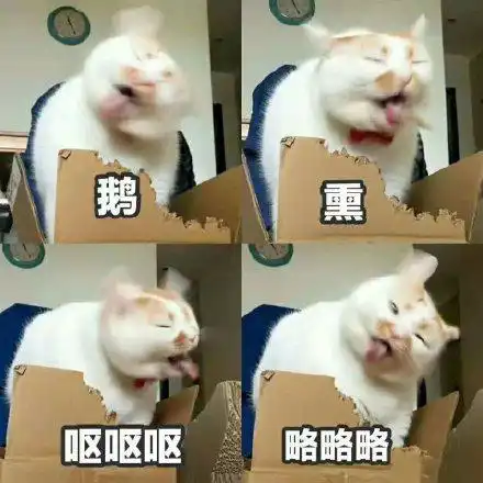 搞笑表情包旺仔小馒头的嫌弃不屑的整理我的高领毛衣
