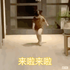搞笑表情包动态