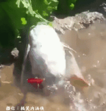 搞笑gif趣图刚开始觉得挺销魂的,可是你后来的表情,你是要笑死我吗