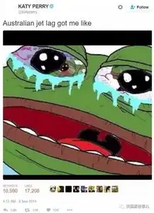又一个表情包去逝了,是创伤者杀死了它...故事挺复杂...
