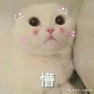 在美好的年纪有过一段刻骨铭心的经历