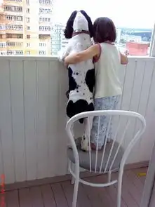 超级爆笑的动物秀表情图