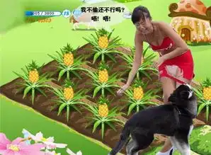 09热门的搞笑qq农场表情大全