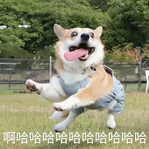 怼人表情包搞笑感恩表情包图片大全集0823期