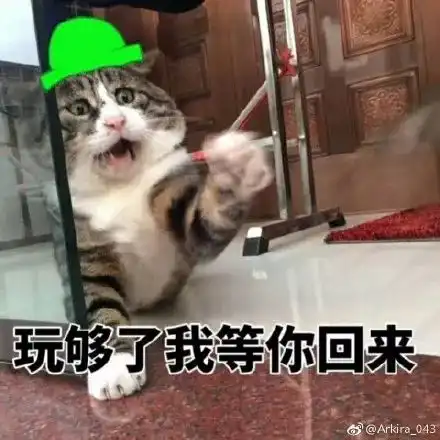 测试一个超长简介的文章