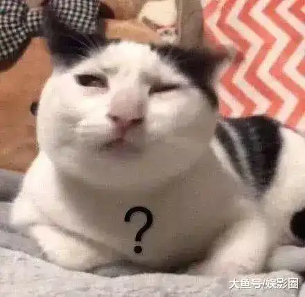测试一个超长简介的文章