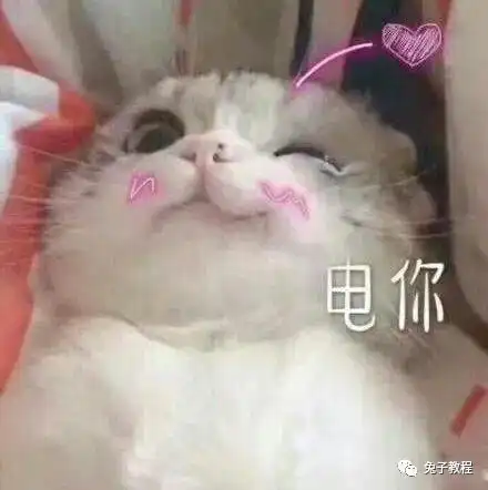 电脑实现web远程连接