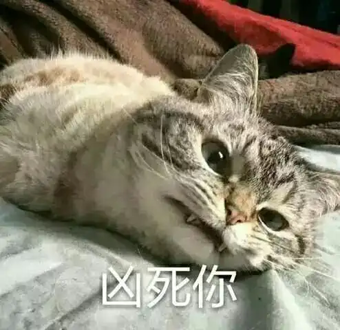 164表情包搞笑创意手机唯美内涵动漫重口味来一波表情包不定期更新
