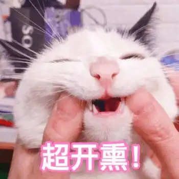 测试一个超长简介的文章