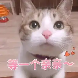 男友刚学游泳,发现一只狗也在游,瞬间抄起棍子就追上去了还要你教我