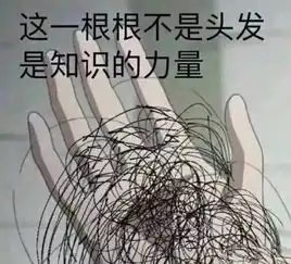 表情包丨让我来康康男朋友的三从四德