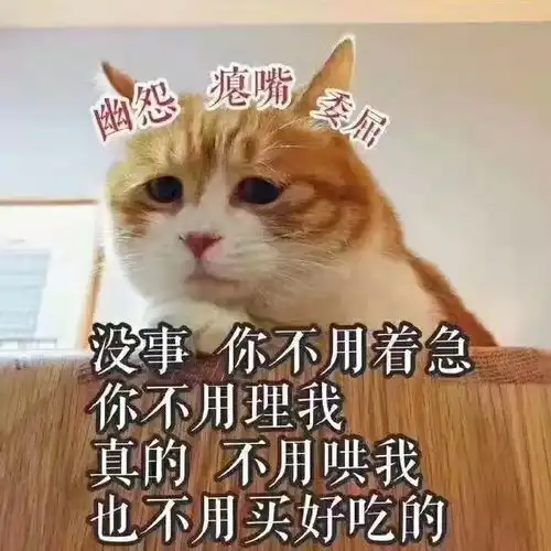 有什么好玩有趣的图片表情包吗