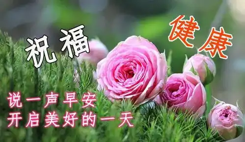 2020夏天问候早上好动态表情图片鲜花带字问候早晨好祝福语图片