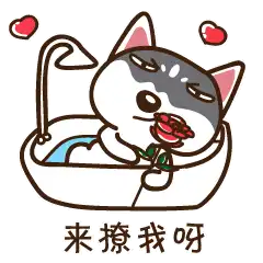 搞笑的二哈微信表情带字大全颜值太低拒绝回答