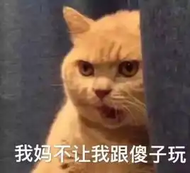 你为什么只能云养猫,自己心里没点x数吗