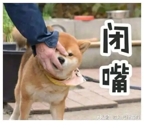 搞笑段子前几天看了一部电影,叫什么什么山了,忘了名了