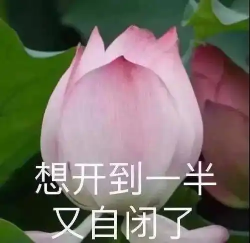 作为老师,我太难了