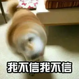 你高中时发生过的最奇葩的事情是什么