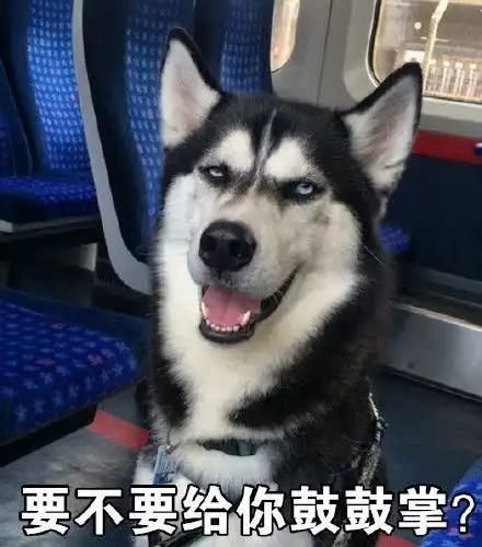 哈士奇二货表情包大全