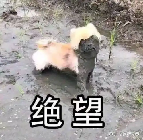 微店现在发展的怎么样了
