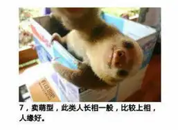 测试一个超长简介的文章