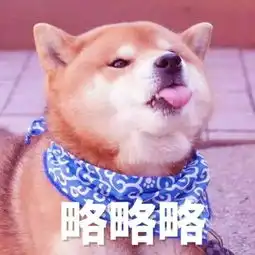 用了那么多年宠物表情包,你知道它们本尊都是谁吗,哈哈哈笑死个人
