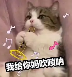 不用打字就可以聊天的图片