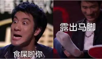 王力宏被怼成表情包微视冠名的吐槽大会也太好笑