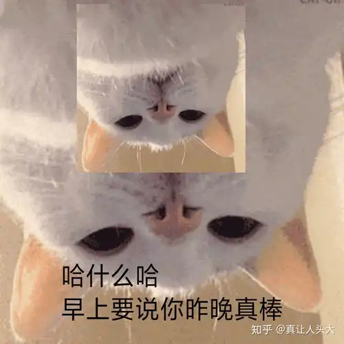 女生早上给你发亲亲的表情怎么回复比较幽默