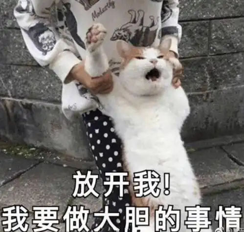 好莱坞的大片只剩下了特效