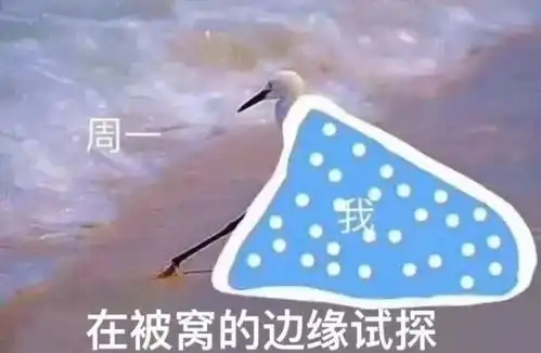 表情包集合有没有你的最爱下