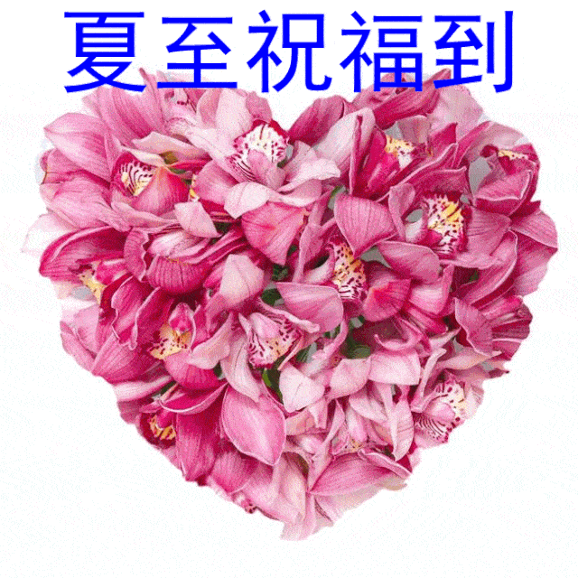 夏至图片带字带祝福语,夏至快乐动图表情包大全