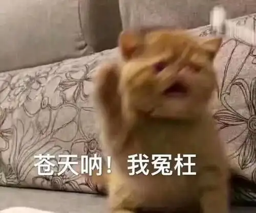 幽默笑话老婆在厨房边做饭边唠叨我