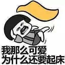 天太冷不想起床上班怎么破理由我都帮你想好了