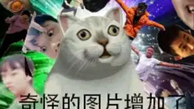 ps制作简单黑白表情包图片,沙雕斗图必备技能