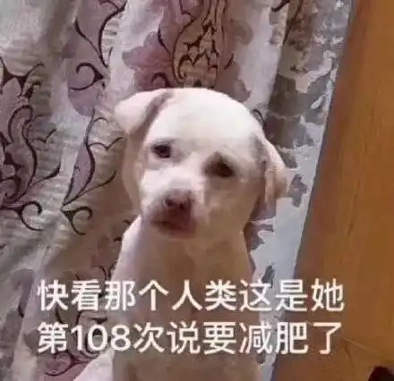 搞笑gif宝贝一起来跳一支舞好吗