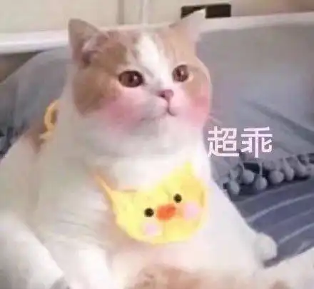 猫咪表情包发出反派的笑声富婆抱抱我