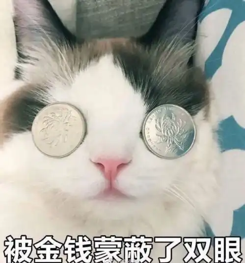 在食堂遇到妹子,聊啥比较有水平