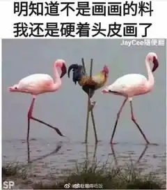 你也是一个人吗让我抱抱你