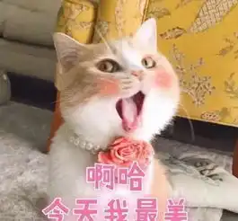 通知叮咚你的青年大学习第四季第六期已送到