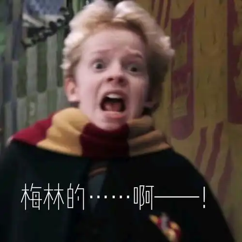 当哈利波特全员看到自己的表情包时