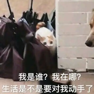 已阅,狗屁不通