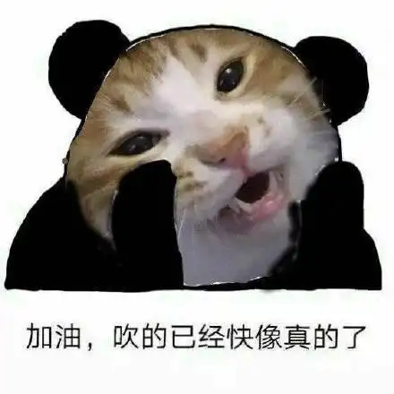 搞笑斗图表情包加油,吹的已经快像真的了