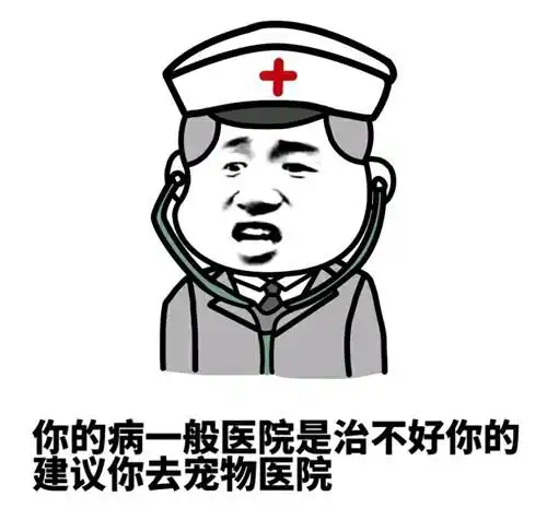 笑话段子,大学毕业前,同学分两组玩真心话大冒险