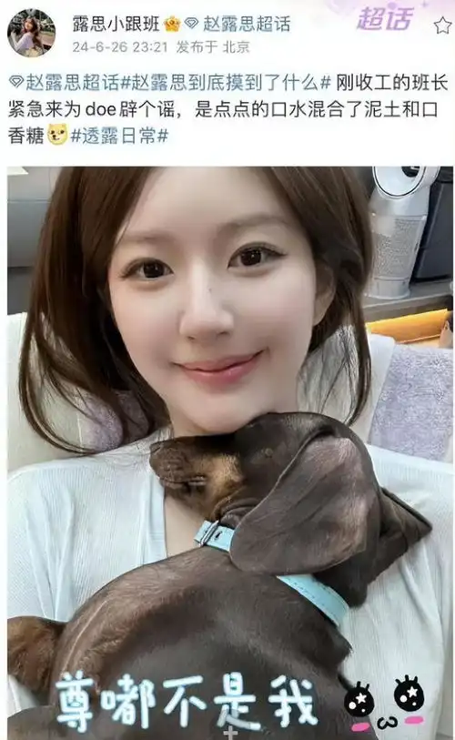 赵露思带爱犬现身新剧片场,惊恐表情包疯传,她亲揭真相笑翻全网