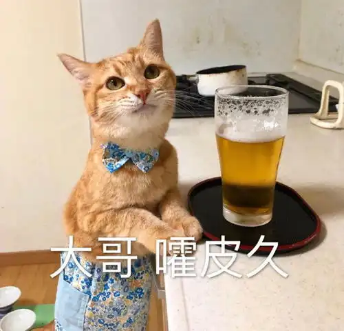 搞笑表情包图片我对傻子过敏